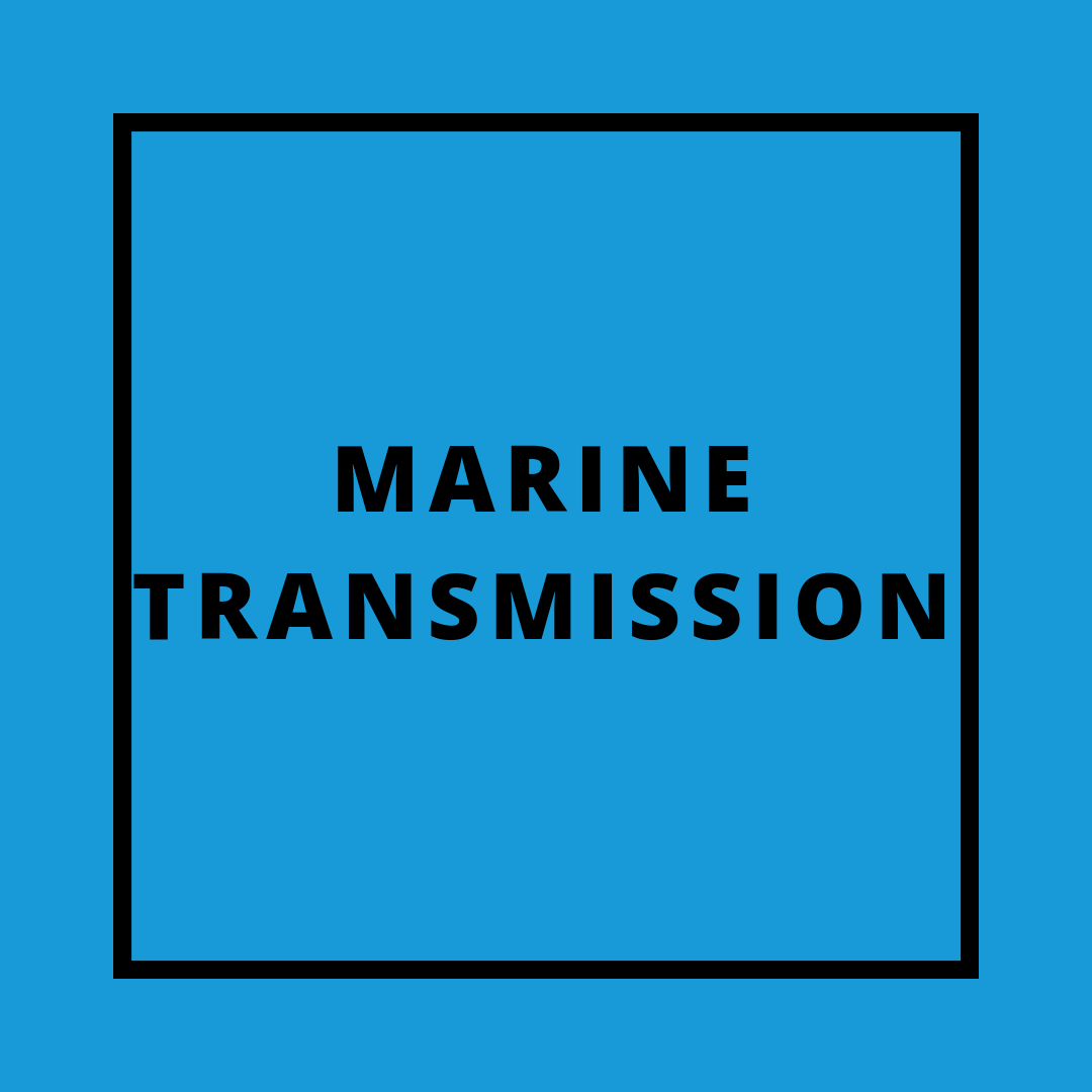 marine-transmission